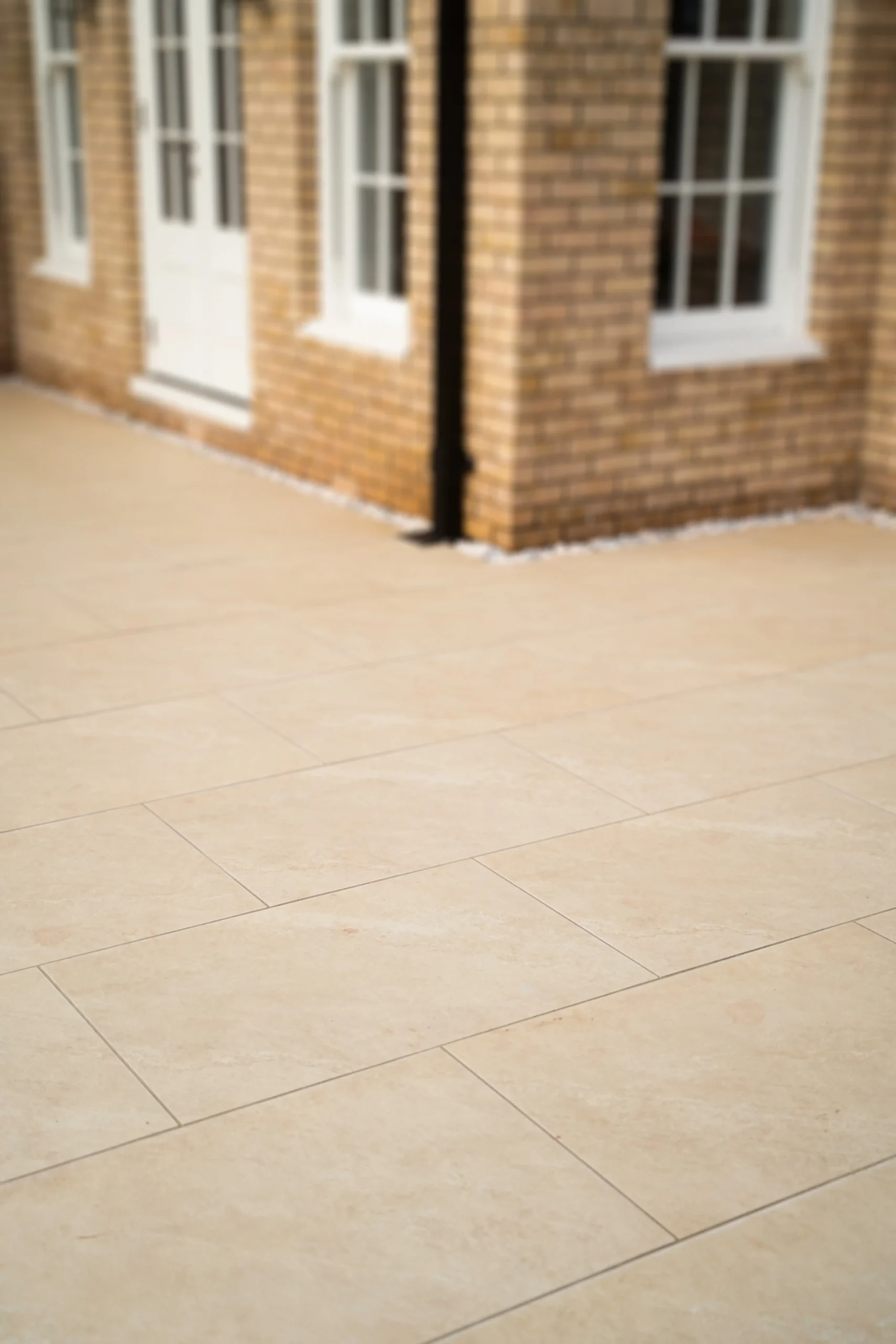 Polar Ivory - Image 4