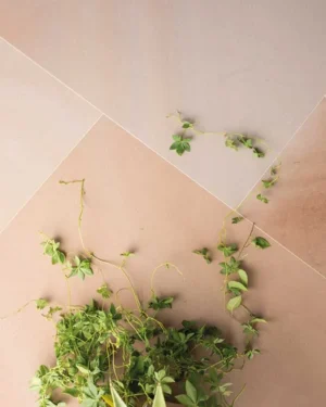 Elegance Camel 600 x 900 x 20mm (22.68m2 per pack) CLEARANCE